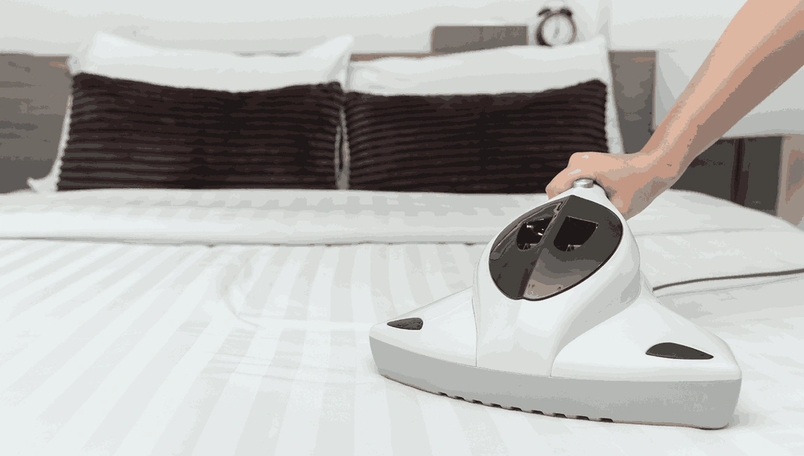 Professional Mattress Cleaning Blairgowrie